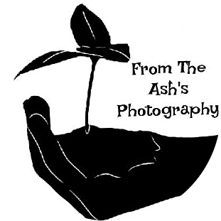 From The Ash's Photography