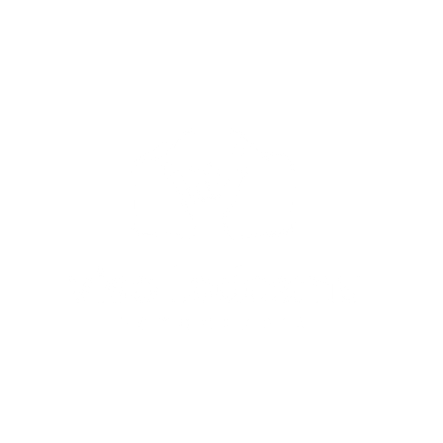 Viso Ledesma
