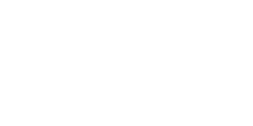 site-logo
