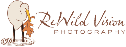 ReWild Vision Photography