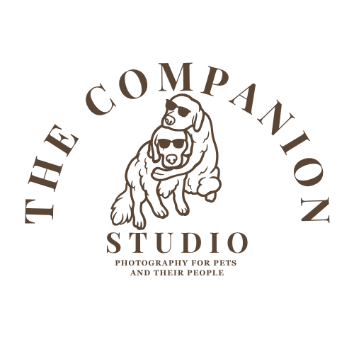 The Companion Studio