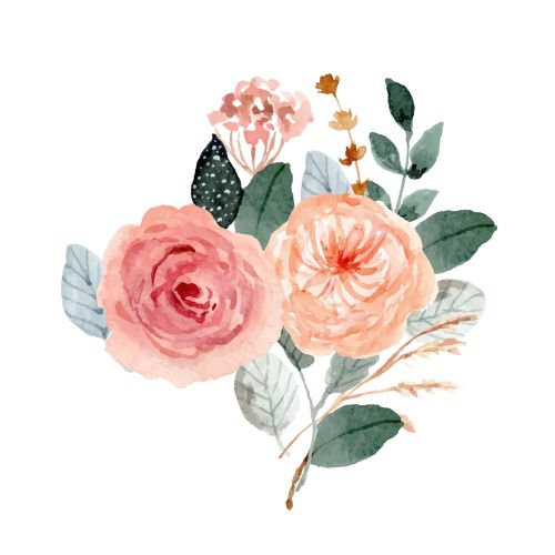 BLISS BY JORDAN