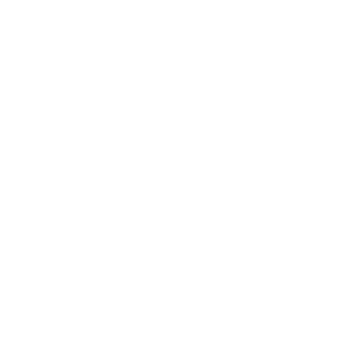 By Caitlan