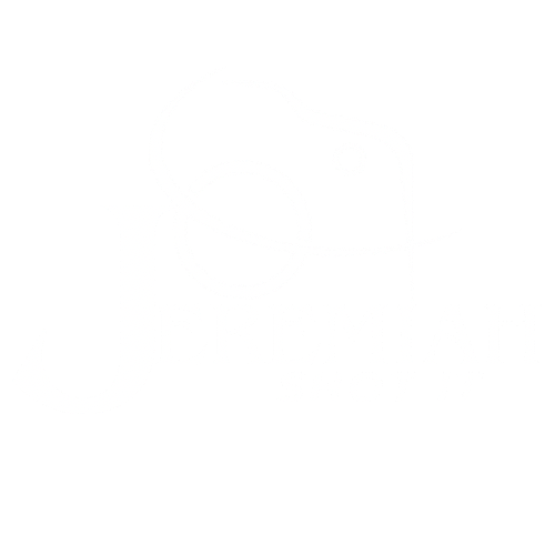 site-logo