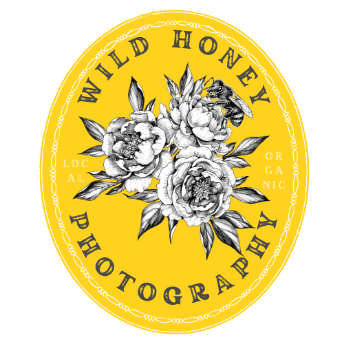 Wild Honey Photography