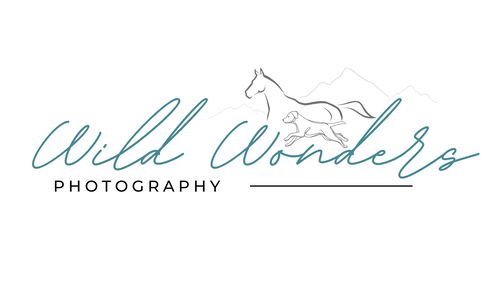 Wild Wonders Photography
