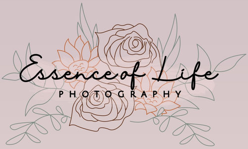 Essence of life photography