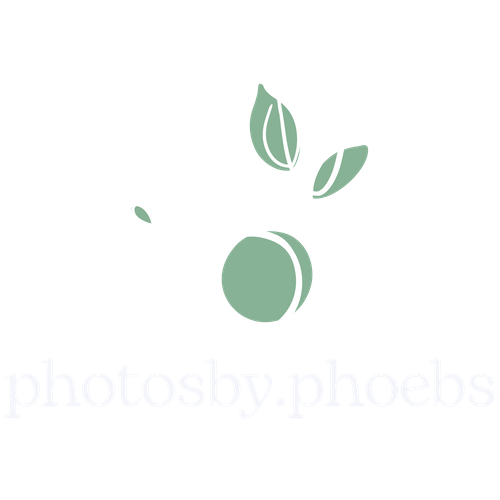 photosby.phoebs