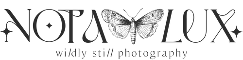Nota Lux, Wildly Still Photography