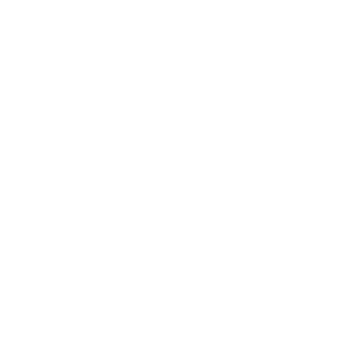 Silver Lining Photography