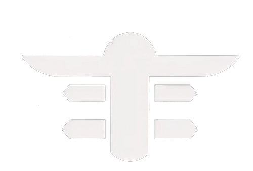 Tess'Drone