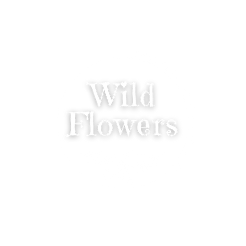 Wild Flowers Photography