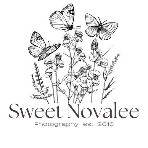 Sweet Novalee Photography