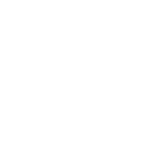 First shot Media