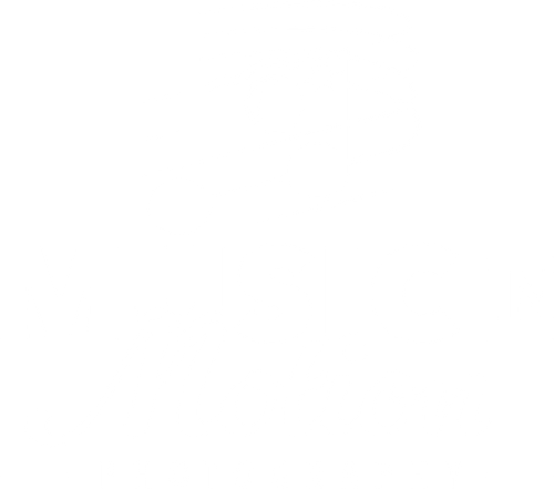 Music in Motion - Photos by Aime Elise
