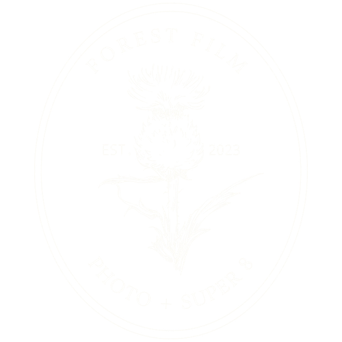 Forest Film | Photo + Video