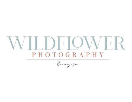 Wildflower Photography - lacey jo