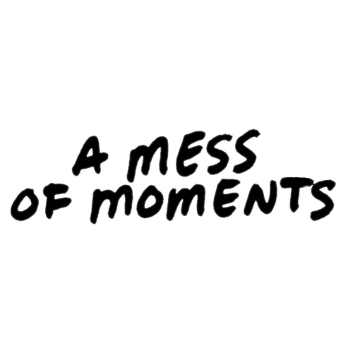 A Mess Of Moments Photography by Shandi-Lee Cox-Rodriguez