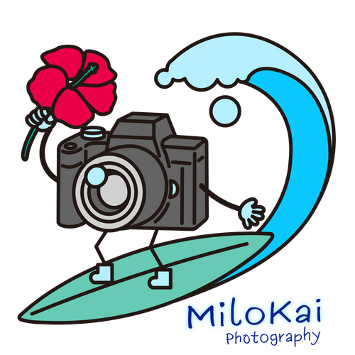 MiloKaiPhoto