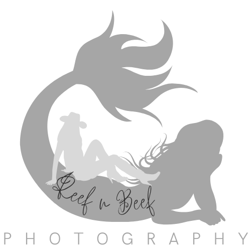 Reef 'n'  Beef Photography
