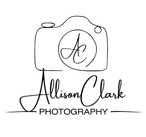 Allison Clark Photography