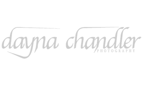 Dayna Chandler Photography