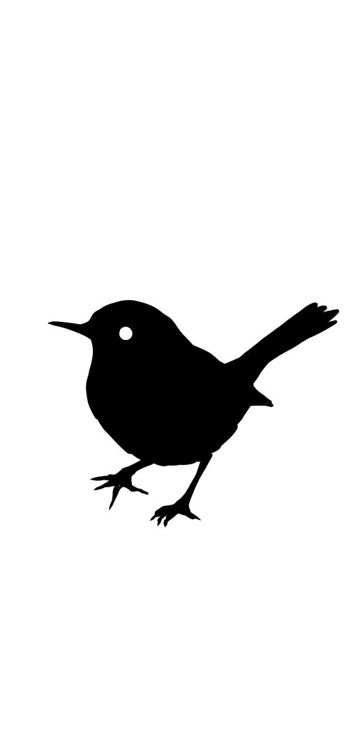 WILD WREN FILMS