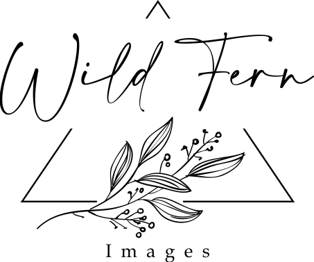 Wild Fern Images