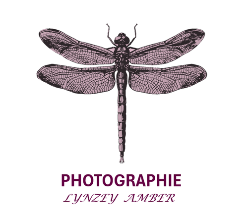 site-logo