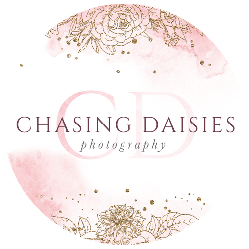 Chasing Daisies Photography