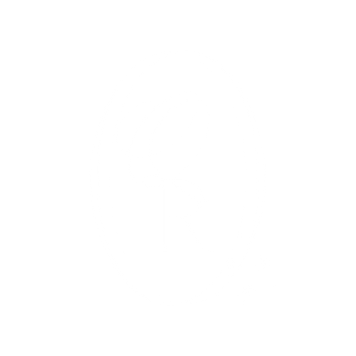 Quinn Rose Photography