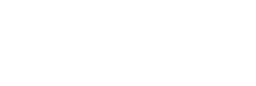Aryan Bommena