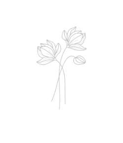 site-logo