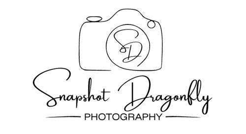 Snapshot Dragonfly Photography