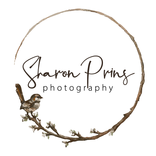 Sharon Prins Photography