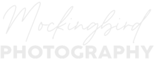 Mockingbird Photography