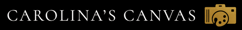 site-logo