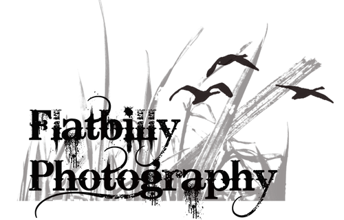 Flatbilly Photography