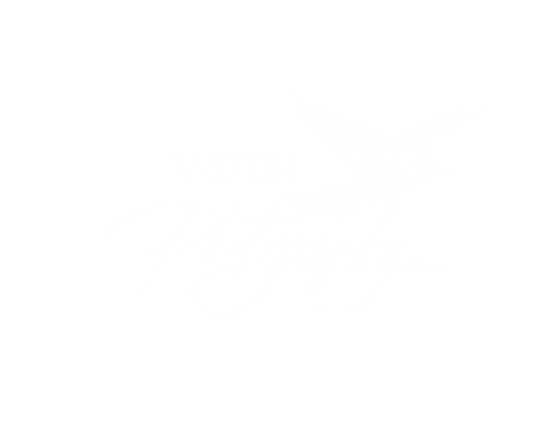 Viden Photography