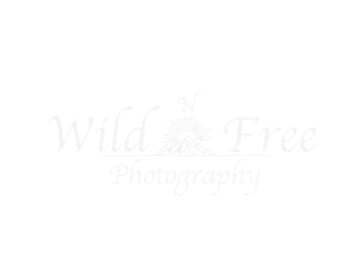 Wild-N-Free-Photography