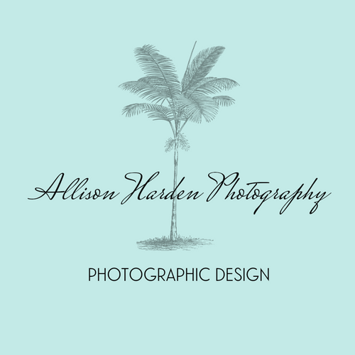 Allison Harden Photography