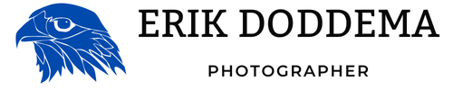 site-logo