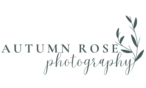 Autumn Rose Photography