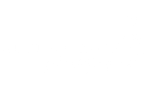 Autumn Rose Photography
