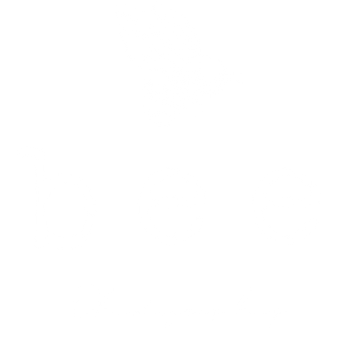 BEE PHOTOGRAPHY