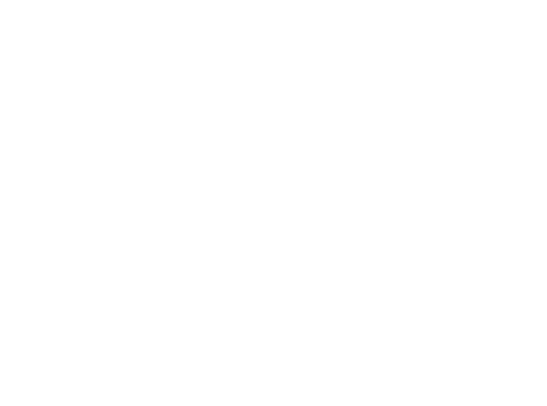 vincent 'N photographe