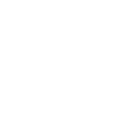 Max Visuals