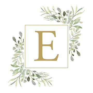 Everlasting Photo & Video