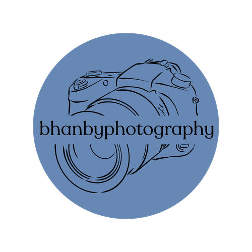 site-logo