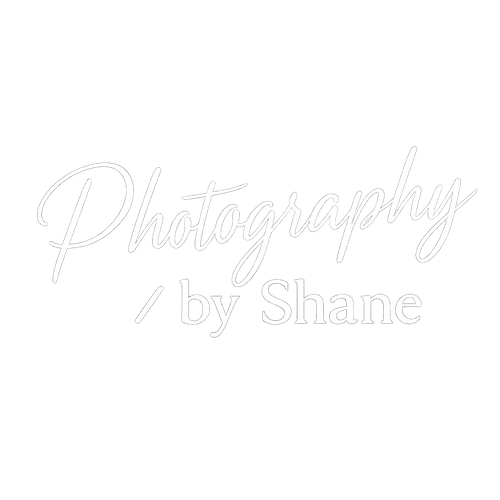 Silver Night Studio